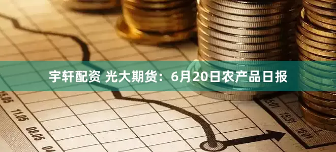 宇轩配资 光大期货：6月20日农产品日报