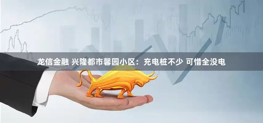 龙信金融 兴隆都市馨园小区：充电桩不少 可惜全没电