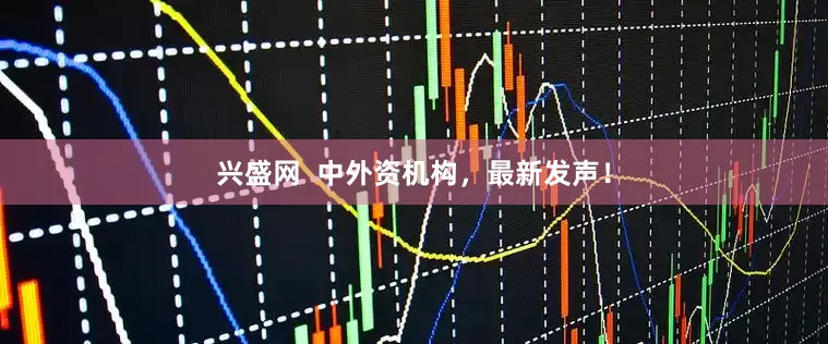 兴盛网  中外资机构，最新发声！