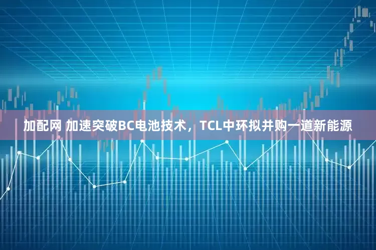 加配网 加速突破BC电池技术，TCL中环拟并购一道新能源